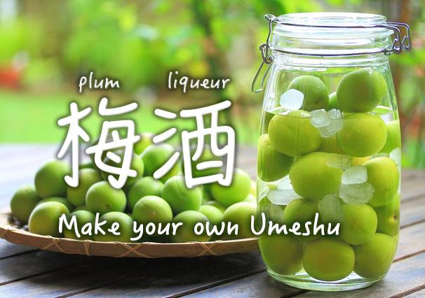 Let's make Umeshu